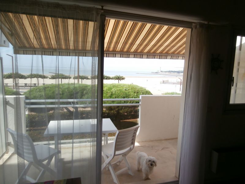 photo 2 Location entre particuliers Saint Georges de Didonne studio Poitou-Charentes Charente-Maritime Vue de la terrasse