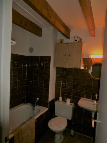 photo 4 Location entre particuliers Saint Georges de Didonne studio Poitou-Charentes Charente-Maritime salle de bain