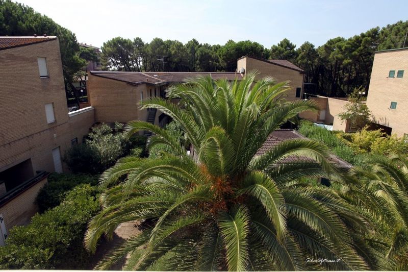 photo 1 Location entre particuliers Principina a Mare appartement Toscane Grosseto (province de) Vue de la terrasse