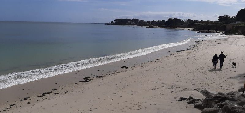 photo 1 Location entre particuliers Saint Pierre Quiberon maison Bretagne Morbihan Plage