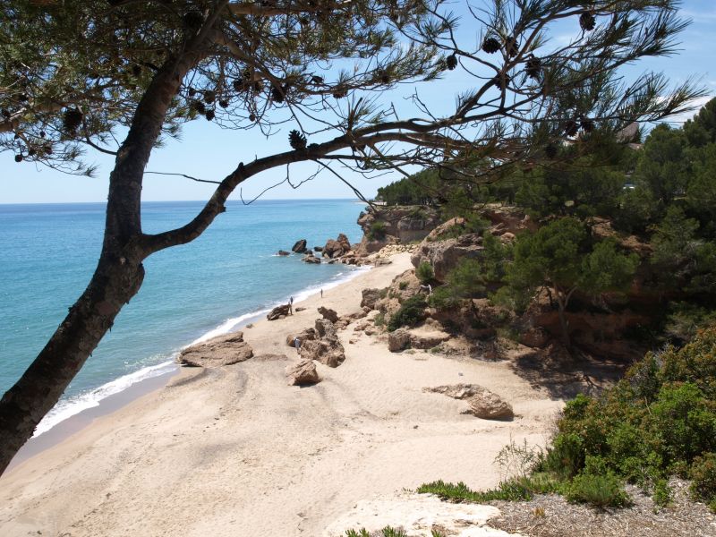 photo 24 Location entre particuliers L'Ametlla de Mar chalet Catalogne Tarragone (province de)