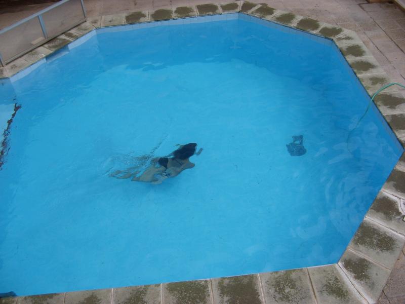 photo 1 Location entre particuliers Puerto Pollensa appartement Balares Majorque Piscine