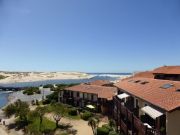 Locations vacances Landes pour 3 personnes: appartement n 72746