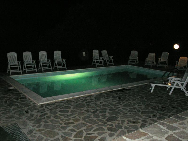 photo 12 Location entre particuliers San Gimignano appartement Toscane Sienne (province de) Piscine