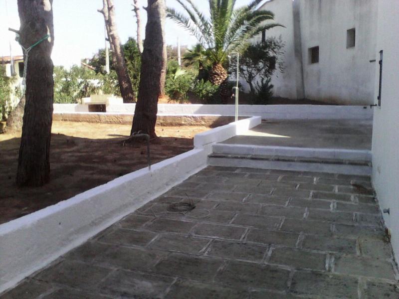 photo 16 Location entre particuliers Pescoluse appartement Pouilles Lecce (province de) Jardin