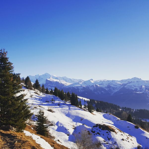 photo 25 Location entre particuliers Morillon Grand Massif chalet Rhne-Alpes Haute-Savoie Vue autre
