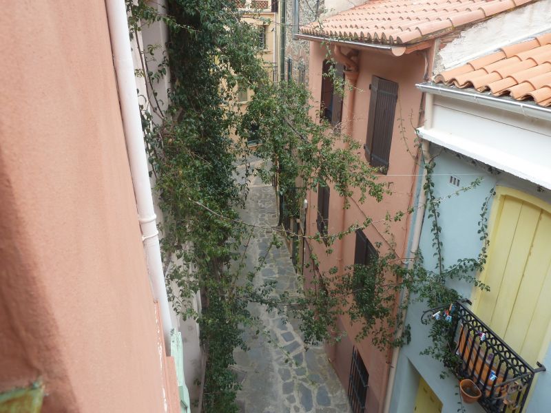 photo 16 Location entre particuliers Collioure appartement Languedoc-Roussillon Pyrnes-Orientales Vue  proximit