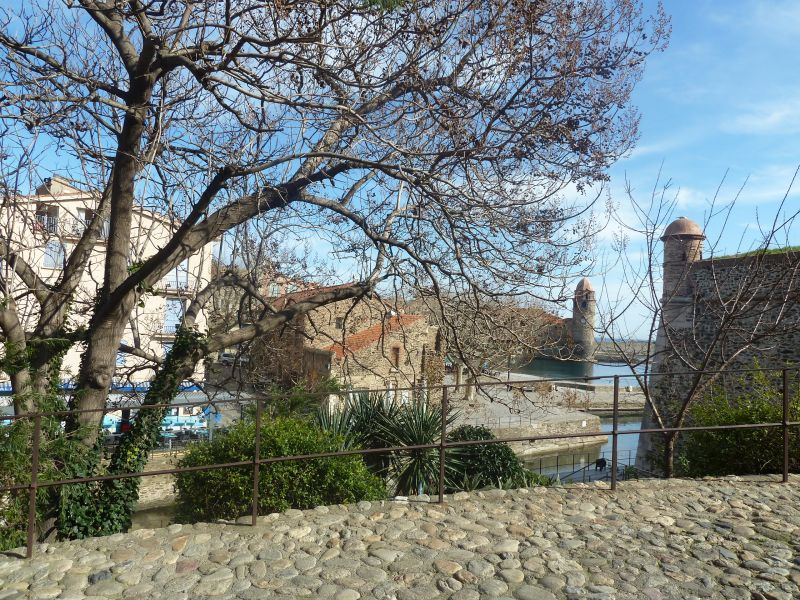 photo 27 Location entre particuliers Collioure appartement Languedoc-Roussillon Pyrnes-Orientales Vue  proximit