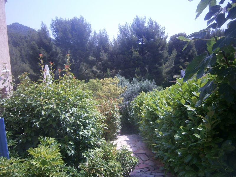 photo 12 Location entre particuliers Saint Cyr sur Mer villa Provence-Alpes-Cte d'Azur Var Jardin