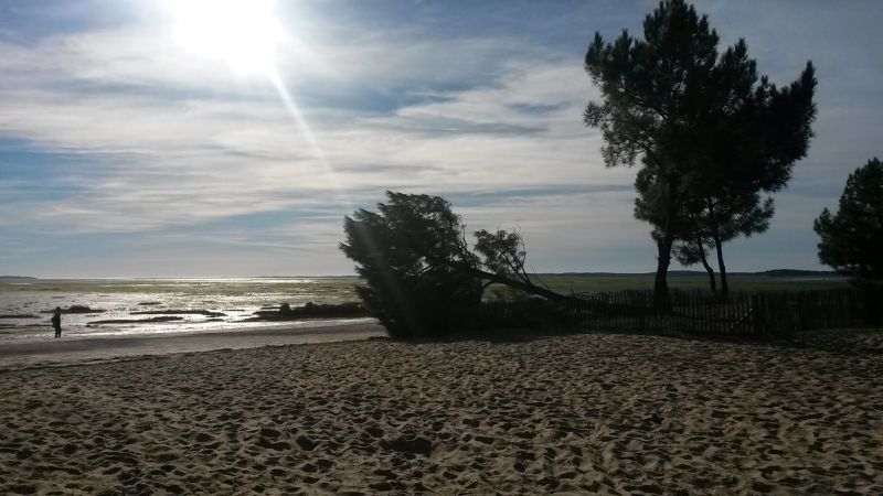 photo 15 Location entre particuliers Andernos les Bains maison Aquitaine Gironde Plage