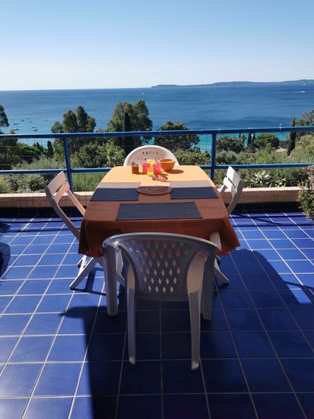 photo 13 Location entre particuliers Rayol Canadel sur Mer appartement Provence-Alpes-Cte d'Azur Var