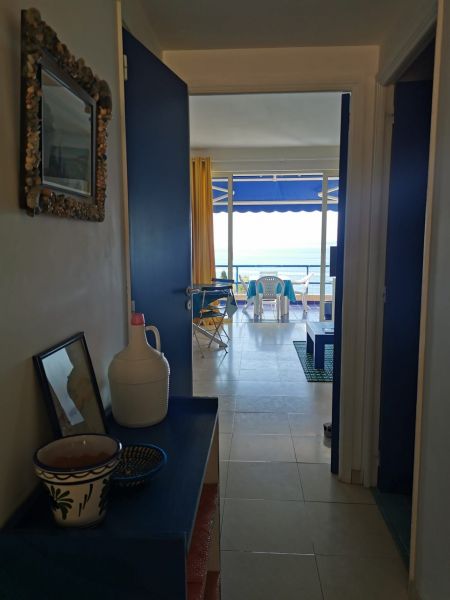 photo 7 Location entre particuliers Rayol Canadel sur Mer appartement Provence-Alpes-Cte d'Azur Var