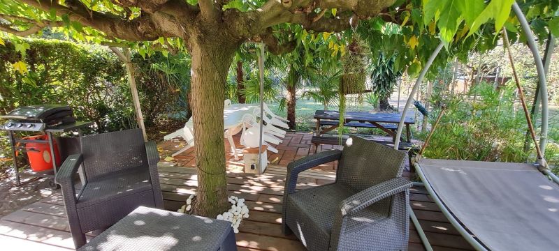 photo 9 Location entre particuliers Ceret appartement Languedoc-Roussillon Pyrnes-Orientales Jardin