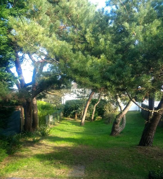 photo 9 Location entre particuliers Cabourg maison Basse-Normandie Calvados Jardin