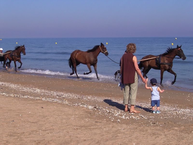 photo 13 Location entre particuliers Cabourg appartement Basse-Normandie Calvados Plage