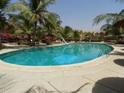 Locations vacances piscine Afrique: appartement n 10807