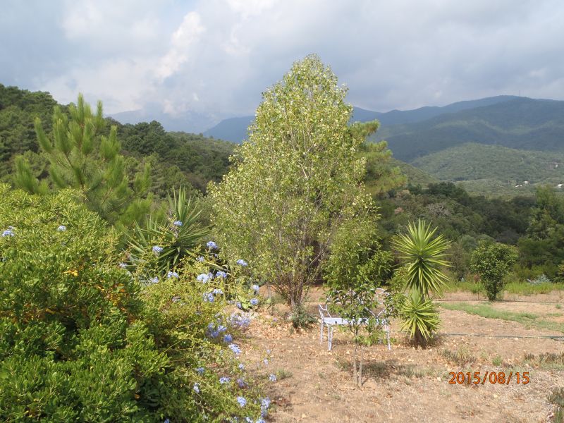 photo 11 Location entre particuliers Solenzara appartement Corse Corse du Sud Vue  proximit