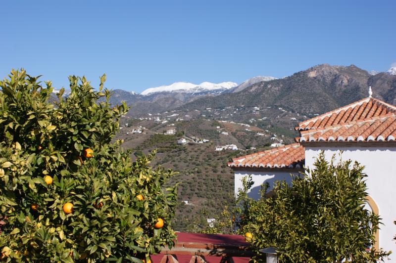 photo 22 Location entre particuliers Nerja villa Andalousie Mlaga (province de) Jardin