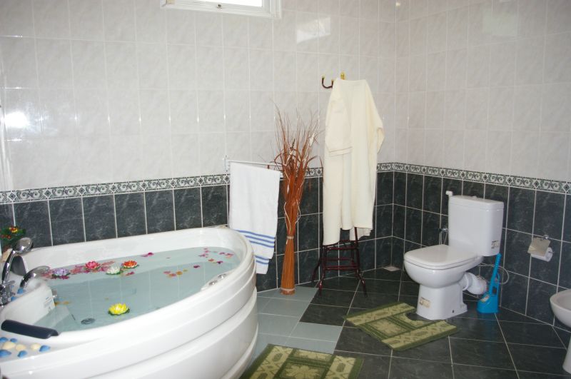 photo 10 Location entre particuliers Flic-en-Flac villa   salle de bain 1