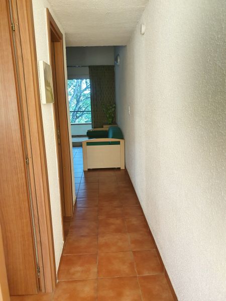 photo 15 Location entre particuliers Bravone appartement Corse Haute-Corse