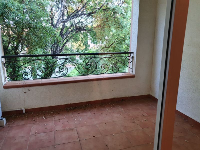 photo 17 Location entre particuliers Bravone appartement Corse Haute-Corse