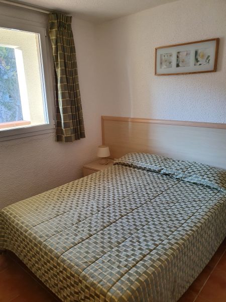 photo 19 Location entre particuliers Bravone appartement Corse Haute-Corse