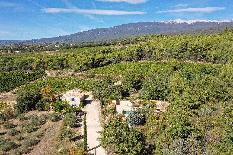 photo 16 Location entre particuliers Bedoin maison Provence-Alpes-Cte d'Azur Vaucluse Vue  proximit