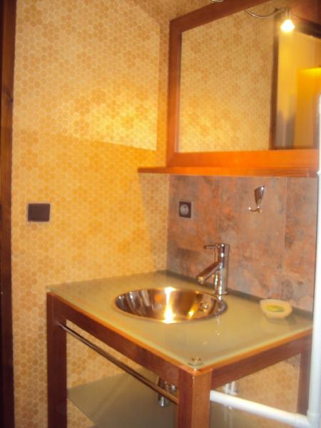 photo 15 Location entre particuliers Les 2 Alpes appartement Rhne-Alpes Isre salle de bain