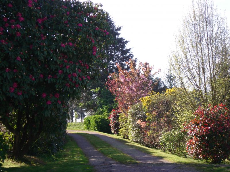 photo 14 Location entre particuliers Douarnenez maison Bretagne Finistre Jardin