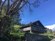 Locations vacances pied des pistes Haute-Savoie: chalet n 1350