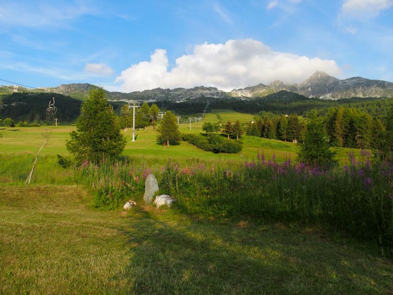 photo 26 Location entre particuliers Les Arcs chalet Rhne-Alpes Savoie Vue de la terrasse