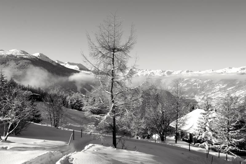 photo 27 Location entre particuliers Les Arcs chalet Rhne-Alpes Savoie Vue du balcon