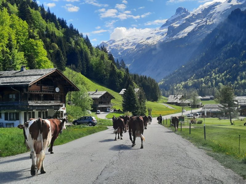 photo 26 Location entre particuliers Le Grand Bornand appartement Rhne-Alpes Haute-Savoie Vue extrieure de la location