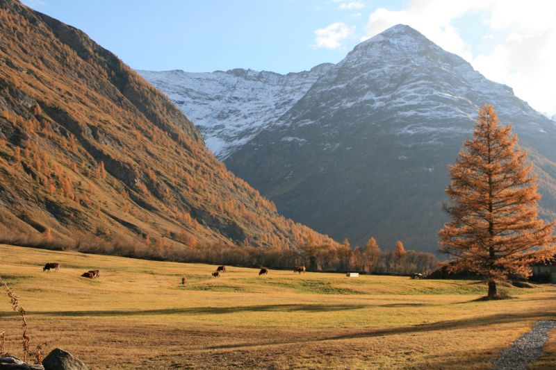 photo 16 Location entre particuliers Val Cenis appartement Rhne-Alpes Savoie Vue autre