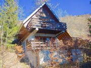 Locations vacances Auris En Oisans pour 8 personnes: chalet n 14816