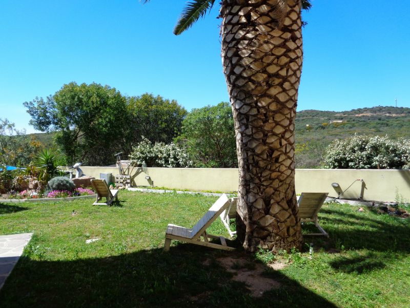 photo 13 Location entre particuliers Golfo Aranci appartement Sardaigne Olbia Tempio (province de) Jardin