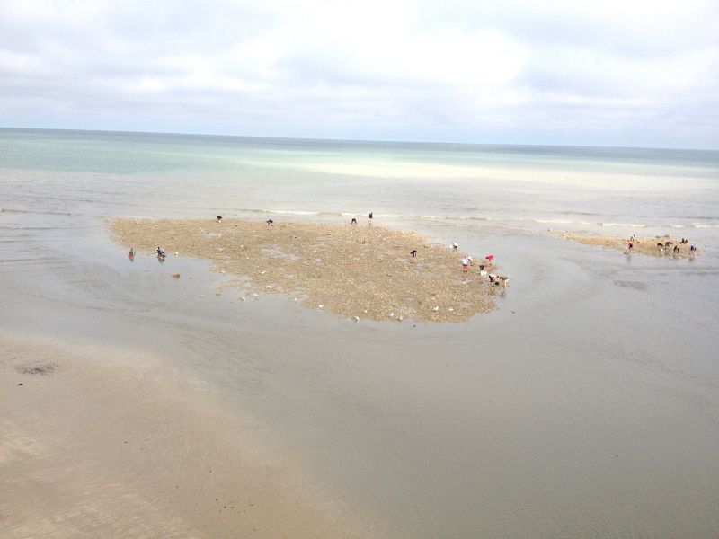 photo 20 Location entre particuliers Le Trport maison Haute-Normandie Seine-Maritime Plage