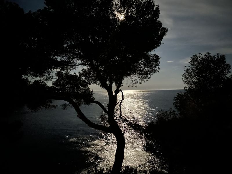 photo 21 Location entre particuliers Saint Raphael appartement Provence-Alpes-Cte d'Azur Var Vue du balcon