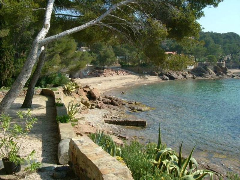 photo 4 Location entre particuliers Saint Raphael appartement Provence-Alpes-Cte d'Azur Var Vue de la terrasse