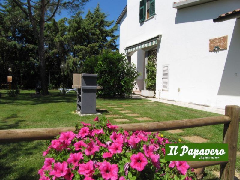 photo 13 Location entre particuliers Grosseto gite Toscane Grosseto (province de) Jardin