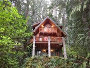 Locations vacances Etats-Unis pour 5 personnes: chalet n 18928