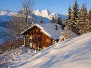 Locations vacances Tignes pour 10 personnes: chalet n 213