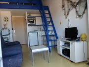 Locations vacances Bretignolles Sur Mer: studio n 22393