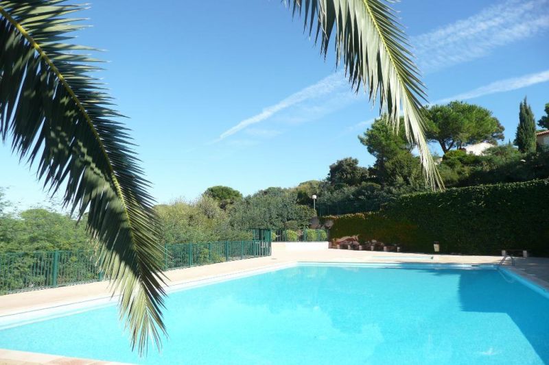 photo 6 Location entre particuliers Sainte Maxime maison Provence-Alpes-Cte d'Azur Var Piscine