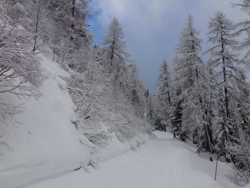 photo 13 Location entre particuliers Les Arcs appartement Rhne-Alpes Savoie Vue autre