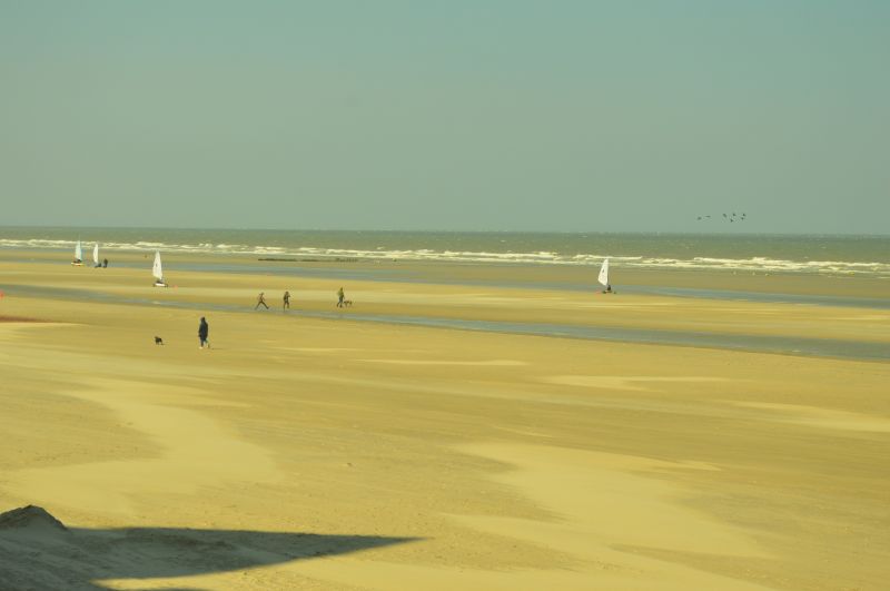 photo 20 Location entre particuliers Bray-Dunes appartement Nord-Pas de Calais Nord