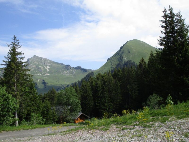 photo 8 Location entre particuliers Praz de Lys Sommand studio Rhne-Alpes Haute-Savoie