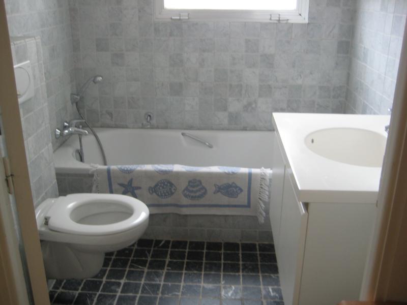 photo 17 Location entre particuliers Cannes appartement Provence-Alpes-Cte d'Azur Alpes-Maritimes salle de bain