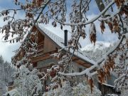 Locations vacances Alpes Franaises pour 24 personnes: chalet n 2501