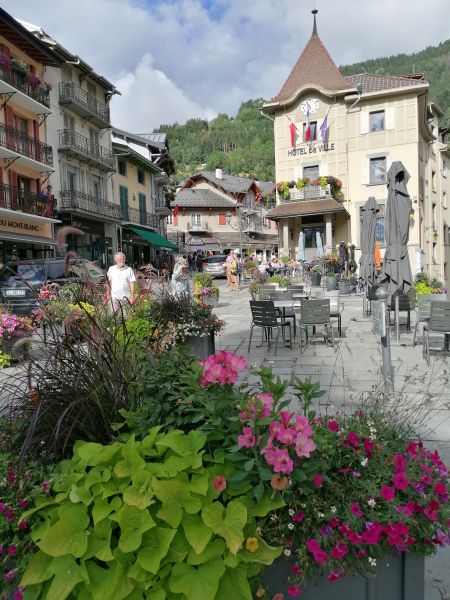 photo 6 Location entre particuliers Saint Gervais Mont-Blanc studio Rhne-Alpes Haute-Savoie Vue  proximit